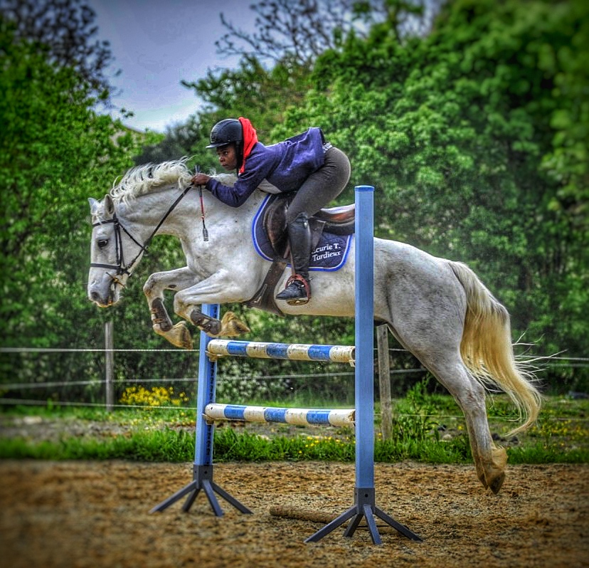 Moment avec les chevaux