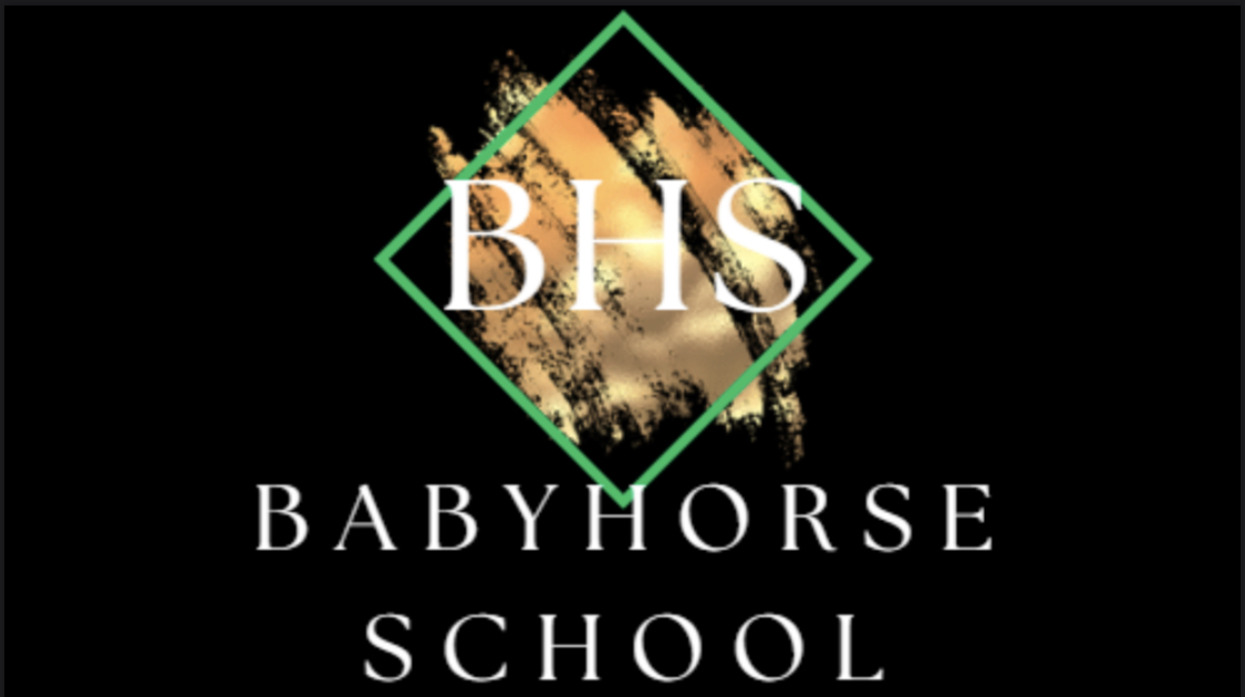 Logo Baby Horse School